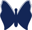 Butterfly Icon